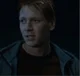 Fred G Weasley 