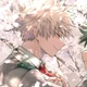 Katsuki Bakugou