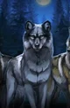 Wolf pack