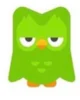 Tired duolingo