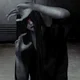Mr Crawling