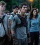 The maze runner