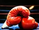 Boxing carrer 
