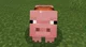 Minecraft pig