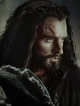 Thorin Oakenshield