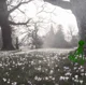 Green unknown-ah