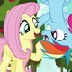 RD and Fluttershy