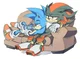 Sonic and Shadow