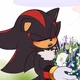 Shadow the hedgehog