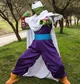 Cosplay Piccolo