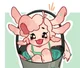 Axolotl in a bucket 