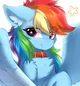 Dashie