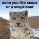 Snep