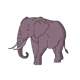 Violet The Elephant 