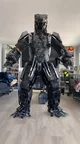 Cosplay Mechagoji