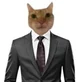 Cat CEO