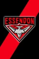 Essendon