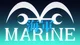 One Piece Marines