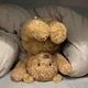Lost stuffy