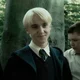 Draco M