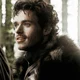 rob stark