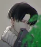 Levi Ackerman 