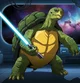 Jedi Tortoise