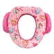 A potty seat 