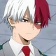 Shoto Todoroki 