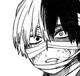 Shoto Todoroki