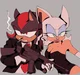 Rouge and Shadow