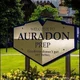 Auradon Higschool
