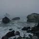 Scylla