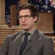 Andy Samberg 