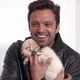 Sebastian stan