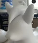 Inflatable blank