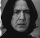 SEVERUS PRINCE SNAPE