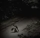 The Vampire Diaries