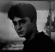 HARRY JAM POTTER