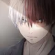 Shoto Todoroki 