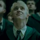 Draco M