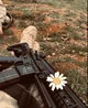 RPG Military