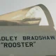 4-BRADLEY BRADSHAW
