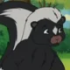Skunk