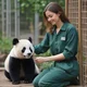 Panda -TF-