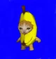 Banana cat