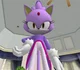 Blaze the cat 