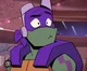 Donnie rottmnt 