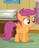 Scootaloo