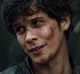 Bellamy Blake